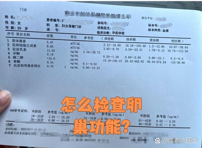 深度剖析石家庄试管助孕成功率和什么有关：从业者十年经验揭秘关键变量